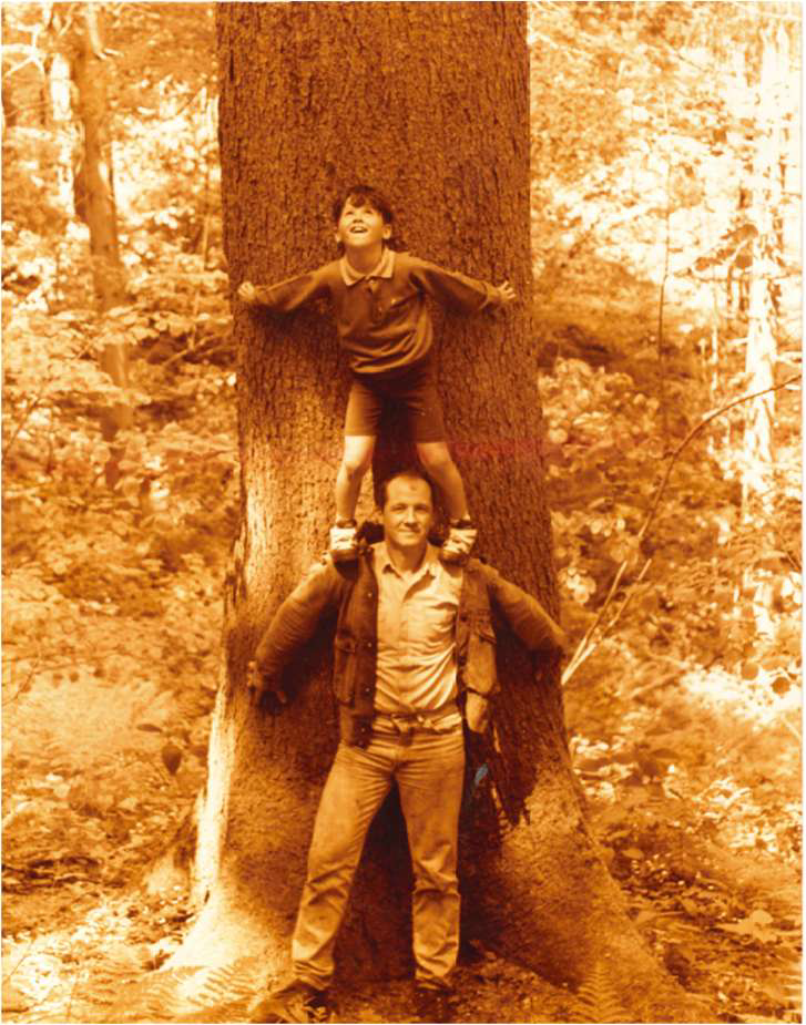 Loggers with horses and felled trees in a forest